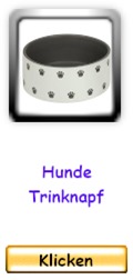 Hunde-Trinknapf