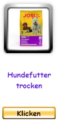 Hundefutter trocken