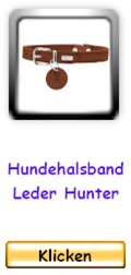 Hundehalsband Leder Hunter